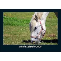 Vero Kalender Pferde Kalender 2026 Fotokalender DIN A5 von