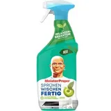 Meister Proper Allzweckreiniger Spray Antibakteriell 0,8 l