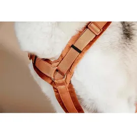 Kentucky Active Velvet Hundehalsband Orange 48-70 cm