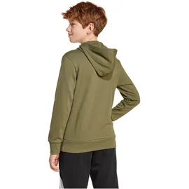 Adidas Essentials Big Logo Kapuzenpullover Olive Strata / Black 140