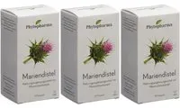 PHYTOPHARMA Chardon marie Capsule(S) 3x80 pc(s)