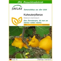 SAFLAX - Kuheuterpflanze - 10 Samen - Mit keimfreiem