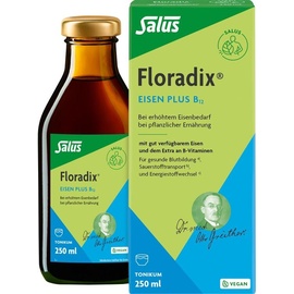 SALUS Floradix Eisen plus B12 Tonikum 250 ml