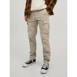 JACK & JONES Ace Tucker Ama Cargohose Dune / Detail Solid 27 32