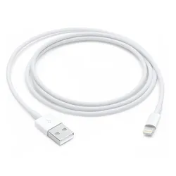 Apple Lightning-Kabel - Lightning männlich zu USB männlich