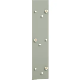 Schildmeyer Hakenpaneel Bjarne 109 cm x 24,5 cm x 2,6 cm Pistazie