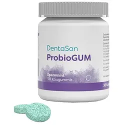 Dentasan Probiogum Spearmint Kaugummi