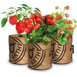 Kitchengarden Gemüse-Set