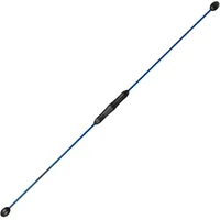 Sport-Thieme Schwingstab Blau
