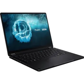 Asus ProArt PX13 13,3'' AMD Ryzen AI Max+ 395 128 GB RAM 2 TB SSD Win11 Pro
