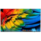 Philips 65HFL6214U/12 65 '' 4K LED Professional TV
