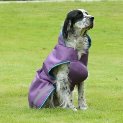 Bucas Freedom Dog Rug 50g, 55
