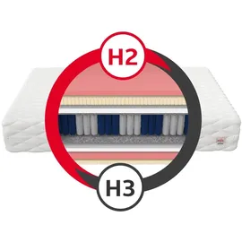 Fdm Matratze 100x200 cm CARPI 7 Zonen H2 H3 Taschenfederkern Visco Memory Schaum Latex Höhe ca. 24 cm mit waschbarem Bezug Premium Jersey
