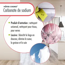 Höfer Chemie 20x 25 kg Natriumcarbonat (Soda) leicht technische Qualität