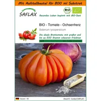 SAFLAX - Garden in the Bag - BIO -
