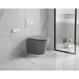 Sanicomfort Nakia Wand-WC mit WC-Sitz Hellgrau