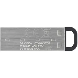 Kingston DataTraveler Kyson 256 GB silber USB 3.2