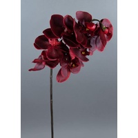 Orchideenzweig Real Touch 72cm CG Kunstblumen künstliche Orchidee Orchideen Blumen Seidenblumen ... (Dunkelrot)