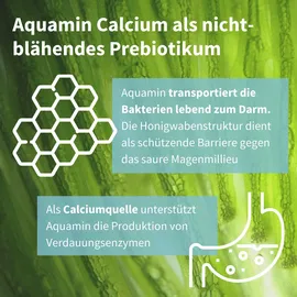 Igennus Healthcare Nutrition Live Cultures Probiotika Kapseln 30 St.