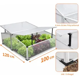 Mojawo Frühbeet Alu Transparent HKP 4 mm 1,2 m2