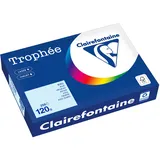 Clairefontaine Kopierpapier Trophée hellblau DIN A4 120 g/qm 250 Blatt