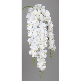 DPI künstliche Orchidee Phalaenopsis Hänger creme 115 cm