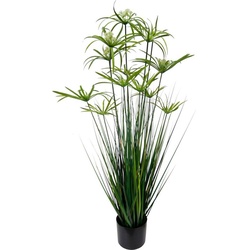 Kunstpflanze Zyperngras im Topf, I.GE.A., Höhe 120 cm grün 35 cm x 120 cm x 35 cm