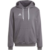 Adidas Entrada 22 Sweat Hoodie Team Grey Four S