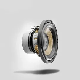 Focal P20FE schwarz