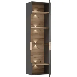 Forte Vitrine Como 60,4 x 41,3 x 203,3 cm Grau