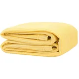 vidaXL Zeltteppich Vorzeltteppich 200 x 300 cm Beige