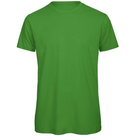 B & C Inspire T/men T-Shirt, Real Green,