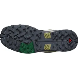 Salomon X ULTRA 5 Aloe/Asphalt/Eden 000, 000, 44