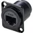 TRU Components TC-9554644 RJ45 Durchgangs-Einbaubuchse D-Form CAT 6 Buchse, gerade Polzahl Sensoren 8P8C Schwarz