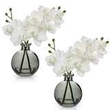 2 pcs Künstliche Orchideen weiß mit Schwarz Glasvase, Kunstpflanze Decor Orchideen Kunstblumen im vase mit Real Touch Blüten, Gefälschte Orchideen künstliche Bonsai für Hotel Wohnzimmer Büro Küche
