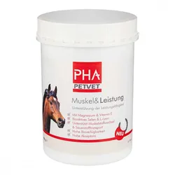 Pha Muskel & Leistung für Pferde Pulver