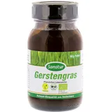 Sanatur GmbH Gerstengras BIO Pulver