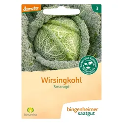 Bingenheimer Saatgut Wirsingkohl Smaragd