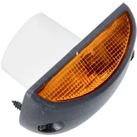 DT Spare Parts Blinkleuchte 6.85004