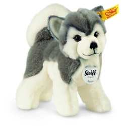 Kuscheltier Husky Bernie 17 cm, grau/weiß | Steiff