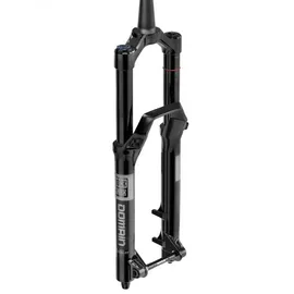 RockShox Domain Gold Isolator RC3 29 Zoll 150 mm Schwarz