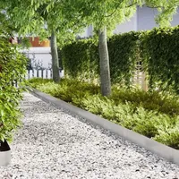 vidaXL Rasenkanten 10 Pcs Silber 100 X 0.5 X 20 Cm Edelstahl Vidaxl