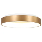 Steinhauer Ringlede 1 LED rund gold matt