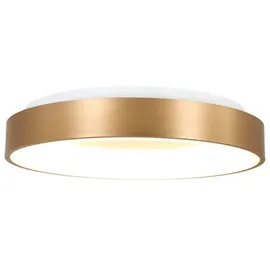Steinhauer Ringlede 1 LED rund gold matt