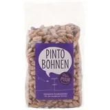 Pinto Bohnen