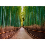 living walls Fototapete Bambus Walk glatt, (5 St), grün Braun Weiß 3,50 m x 2,55 m FSC®