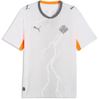 Puma Island Auswärtstrikot 2026 Herren Gr. M