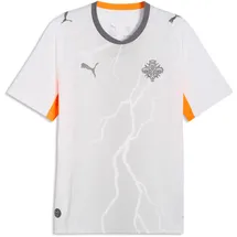 Puma Island Auswärtstrikot 2026 Herren Gr. M