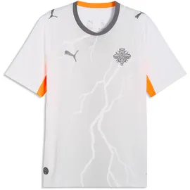 Puma Island Auswärtstrikot 2026 Herren Gr. M