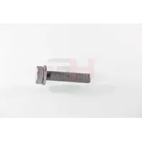 Gh Schraube, Achszapfen